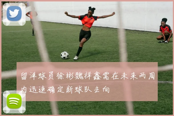留洋球员徐彬魏祥鑫需在未来两周内迅速确定新球队去向