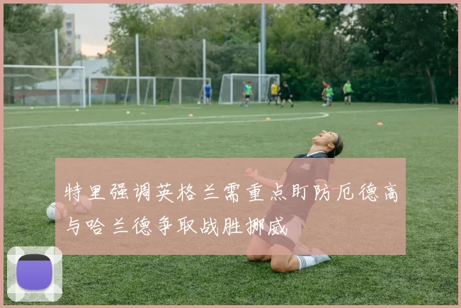 特里强调英格兰需重点盯防厄德高与哈兰德争取战胜挪威